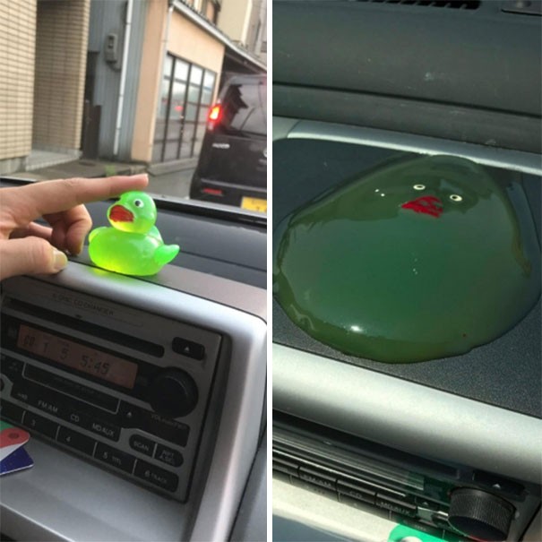 1. Diese süße Ente ist im Auto geschmolzen.