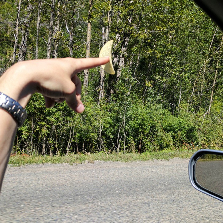 En viaje con las Pringles.