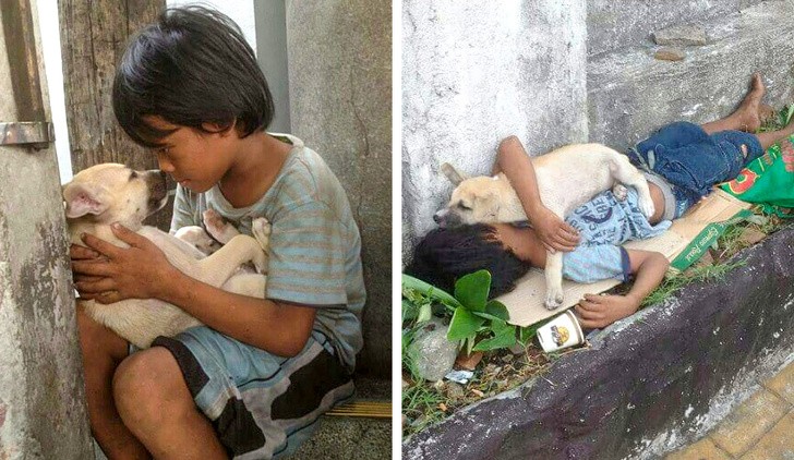L'amitié entre un chien errant et un enfant sans-abri orphelin.