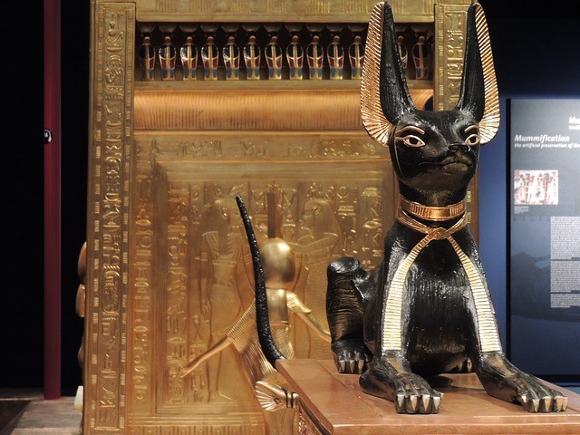 In Egitto che il gatto venne elevato da animale domestico a divinità.