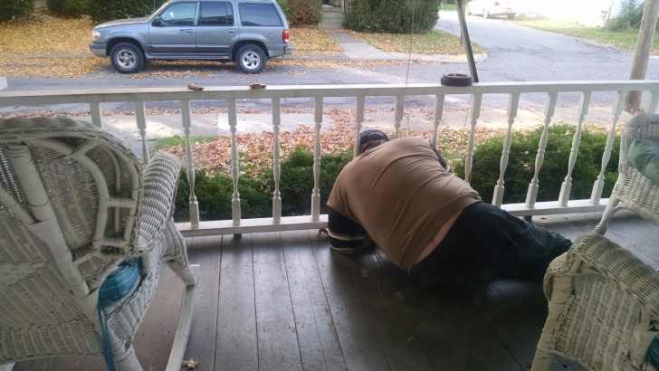 "My father remained with his head stuck in the porch railing yesterday while he was feeding a spider that lives in the bush under the house."