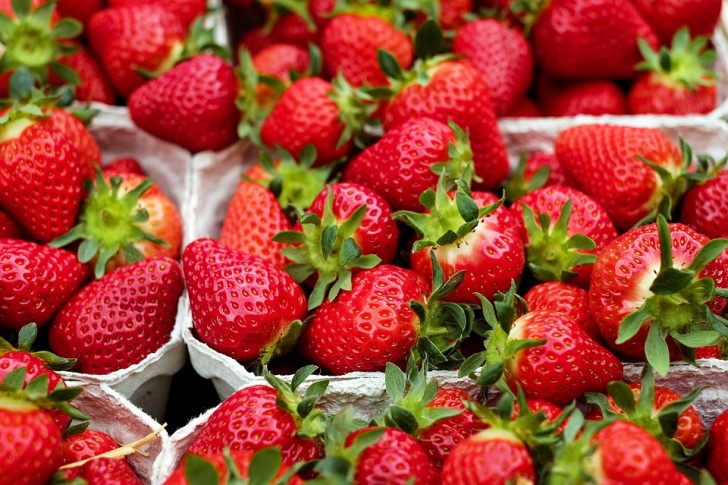Normalerweise sind Menschen, die sich von Erdbeeren fernhalten, diejenigen, die leider irgendeine Art von Intoleranz haben. Aber wir, die wir sie lieben und ihre Süße genießen können, wollen alles darüber wissen, wie man sie länger frisch halten kann!