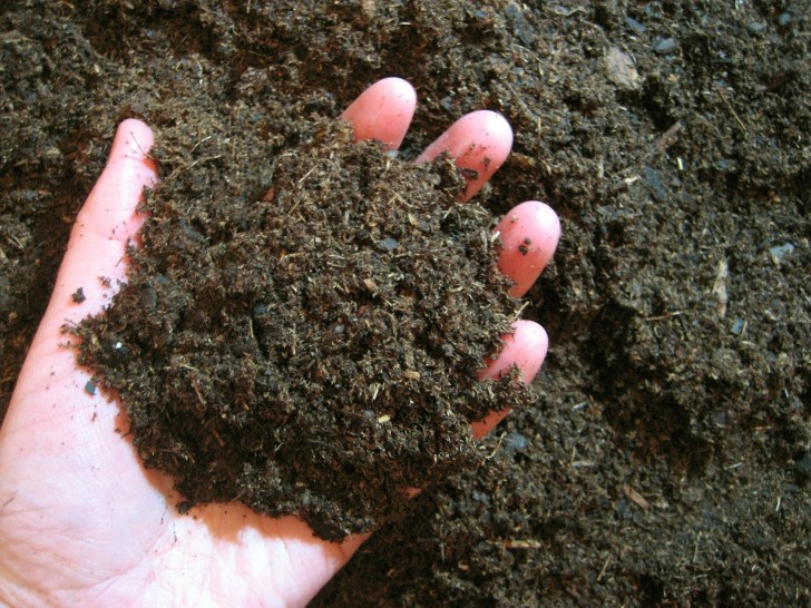 4. Handig om de pH waarde van de grond in de tuin te controleren