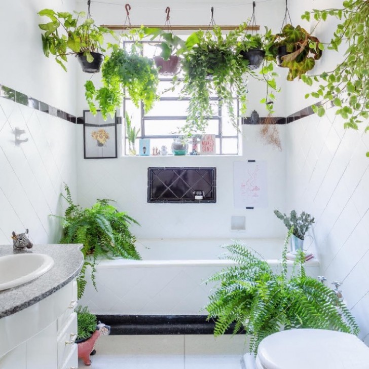 We could not leave out a touch of green nature! What would you say about decorating the bathroom by hanging some plants here and there?