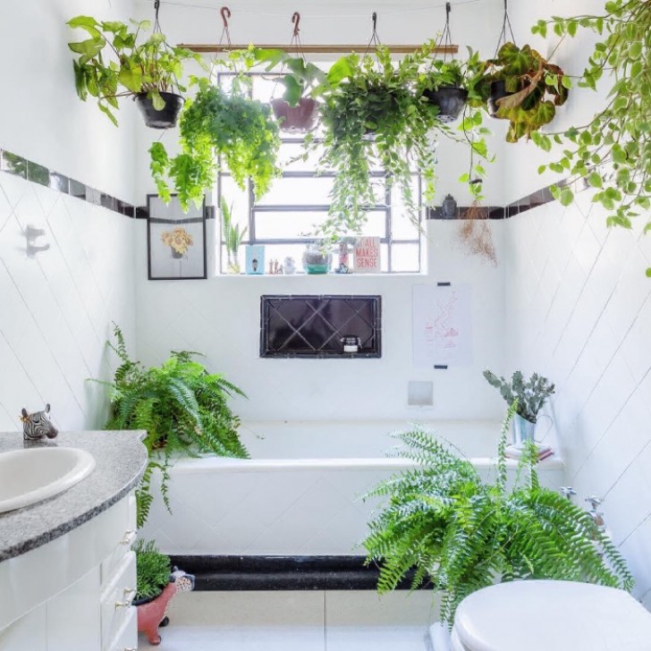 No puede faltar un toque de verde: que nos dicen de decorar el baño colgando alguna planta por todos los rincones?