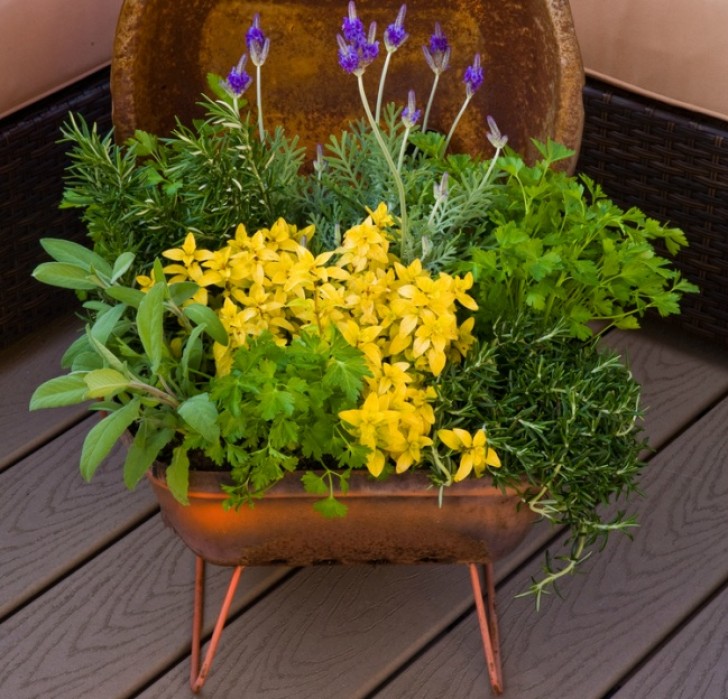 12. Una vieja rejilla oxidada y abandonada en el jardin se reinventa como un macetero florido!