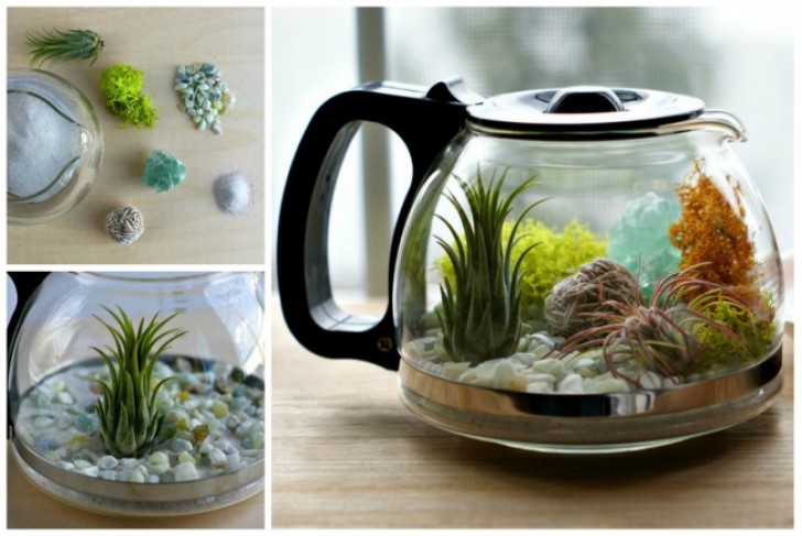 9. Een oude koffiepot wordt een decoratieve terrarium!