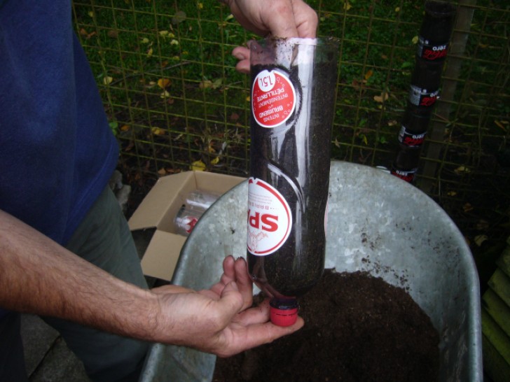 3. Fill the bottle with soil, leaving about 2 in (5 cm) of empty space at the upper end.