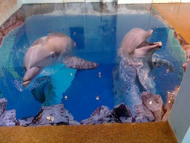 Los delfines dan siempre un toque de alegria, con aquella expresion de ellos sonrientes!