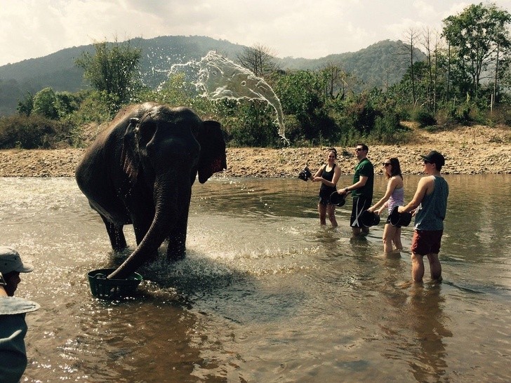 Der Wasserstrahl, der den Elefanten abspritzt sieht selbst aus wie ein Elefant.