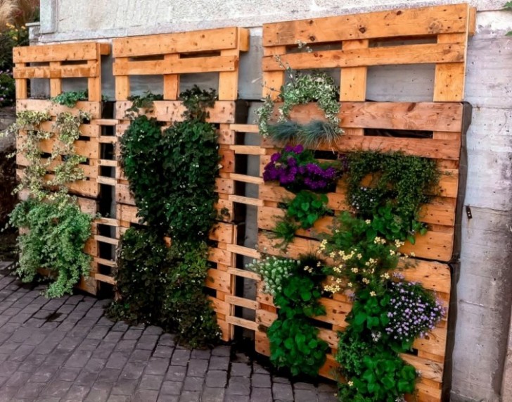 2. Wooden pallets and climbing plants are a perfect match!