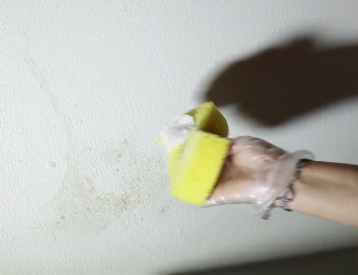 Using a sponge or a brush, start by applying the anti-mold paste on the part affected by mold.