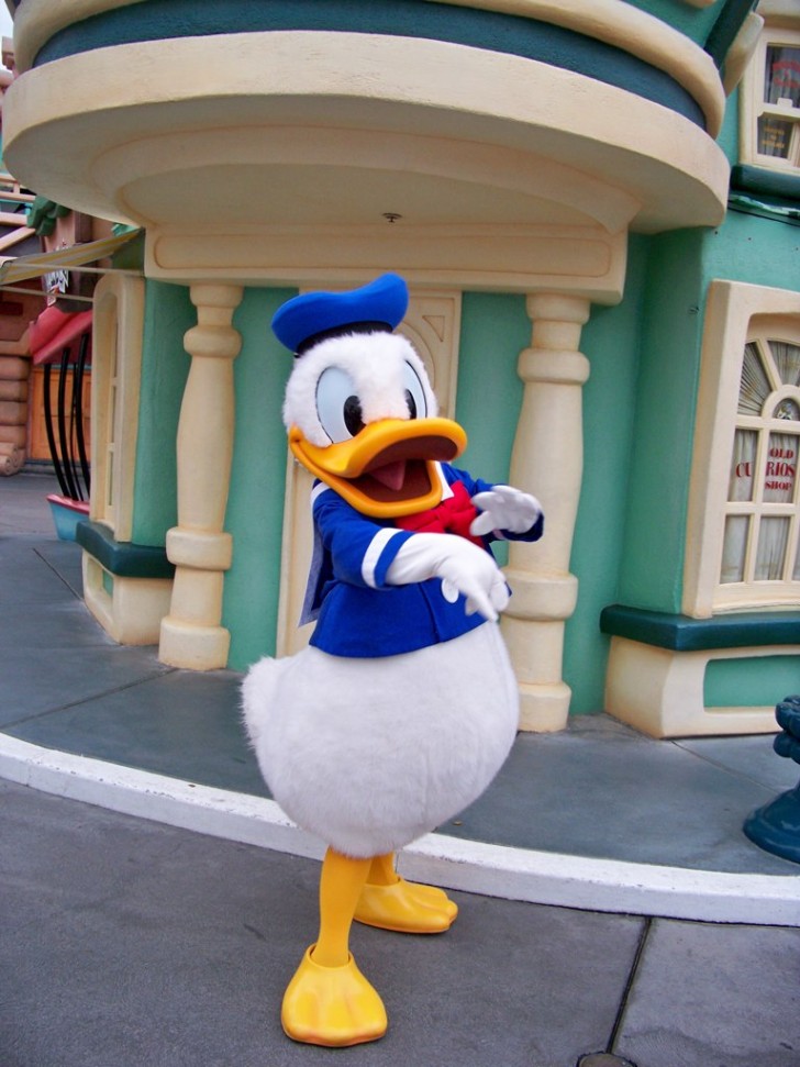 Tot de jaren 70 waren de strips met Donald Duck erin verboden in Finland.
