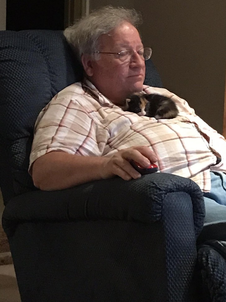 Mein Vater hat keine Katze aber wenn er zu mir nach Hause kommt kuschelt er gerne mit meiner. Jetzt hat er eine kleine Katze auf der Straße gefunden und sie adoptiert...