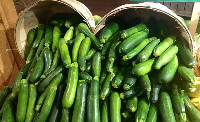 How to plant zucchini --- step by step.