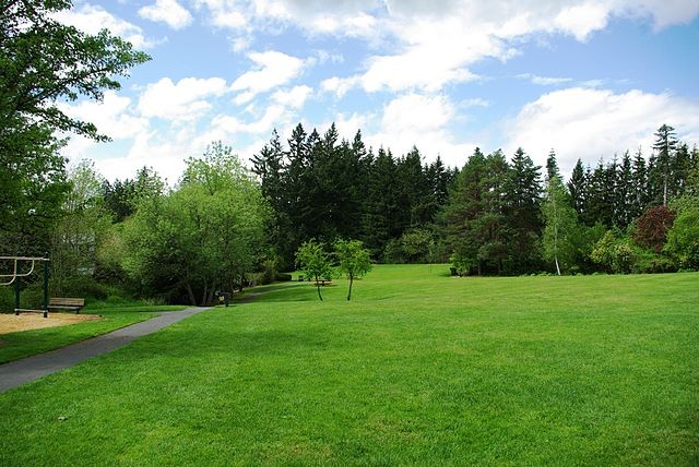 13. Weelderig grasveld en bloemen