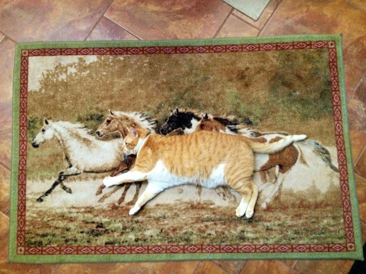 1. Un gatto gigante che corre con i cavalli. Strana fantasia aveva chi ha dipinto questo tappeto...