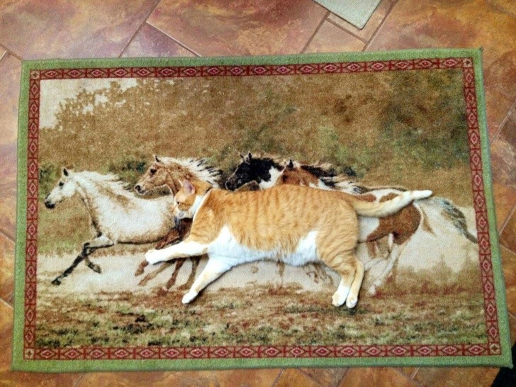 1. Un gato gigante que corre con los caballos. Extraña fantasia tenia quien ha pintado esta alfombra...