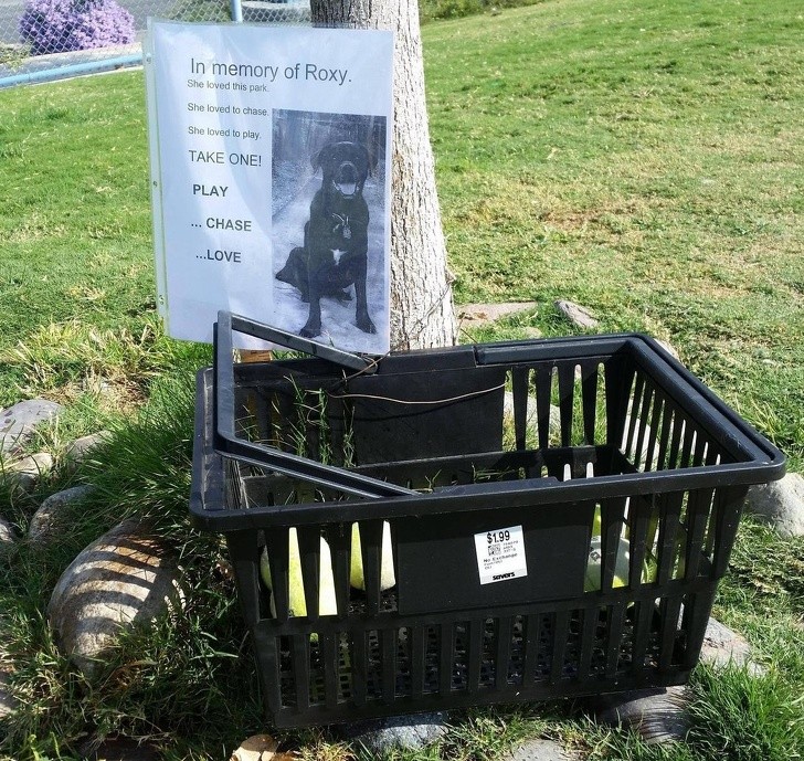 16. To remember his recently deceased dog, who loved playing with tennis balls, this owner gave a full basket of tennis balls to the whole park.