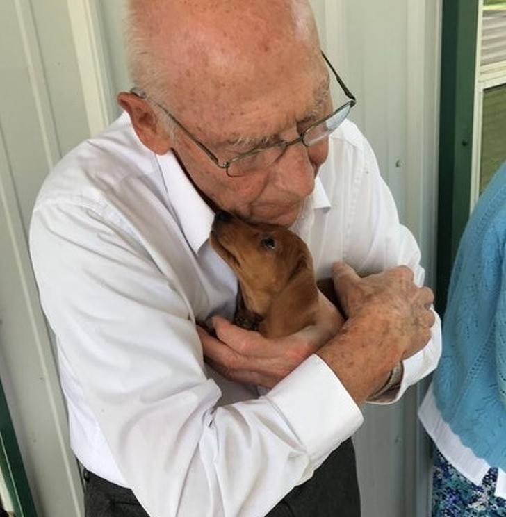 4. "He donado este cachorro a la casa de ancianos. De inmediato ha encontrado a su mejor amigo"