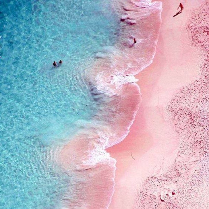 1. La plage de sable rose de Harbour Island - Bahamas.
