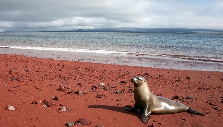 13. La plage de sable rouge de Rabida - Galapagos.