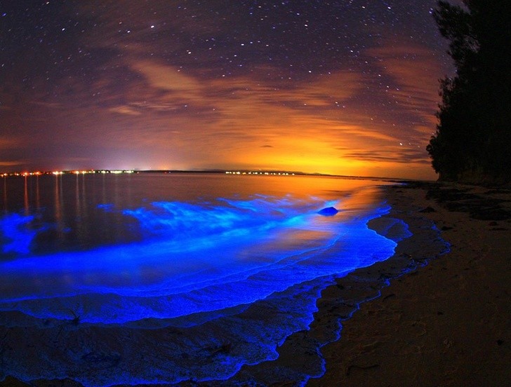 2. La plage bioluminescente de Vaadhoo - Maldives.