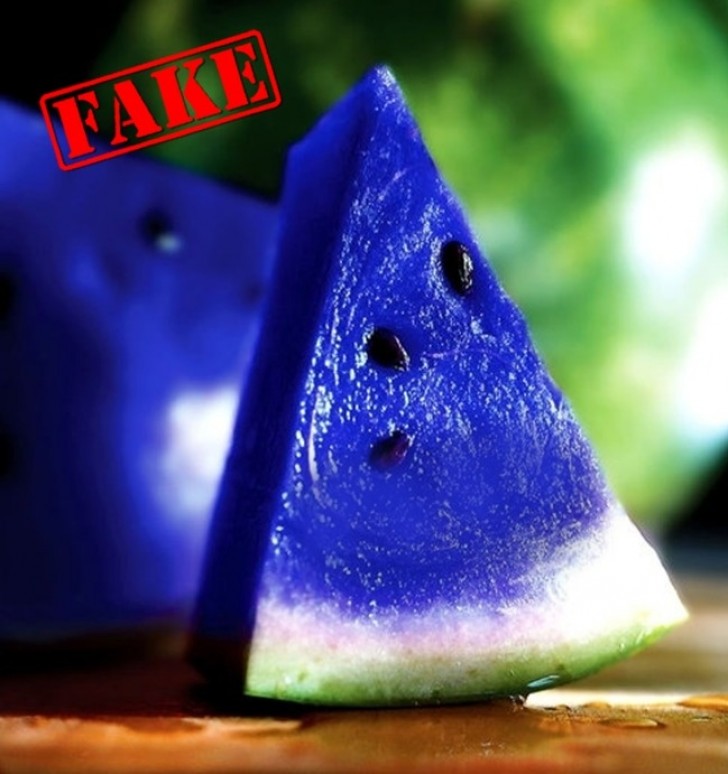 11. Die blaue Melone