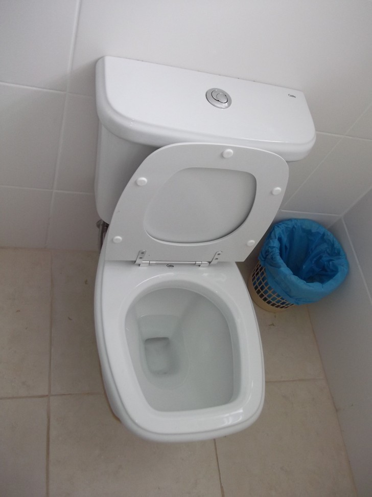 5. Het toilet schoonmaken
