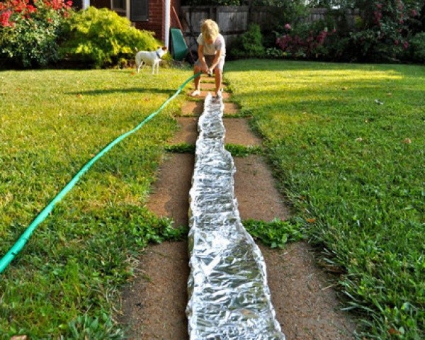 5. Arroyo de papel de aluminio.