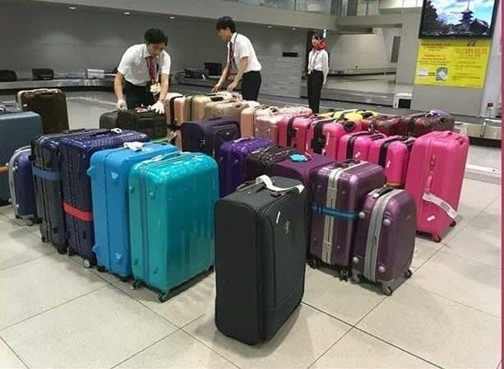 26. Le personnel de l'aéroport classe les valises par couleur.