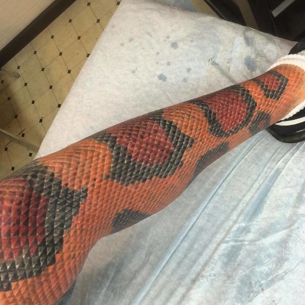 Il voulait être un serpent et c'est ainsi qu'il a commencé à fabriquer sa mue !
