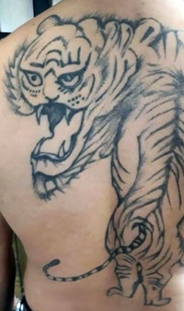 Are you thinking about getting a tiger tattoo? Do not take your example from these two jobs ...
