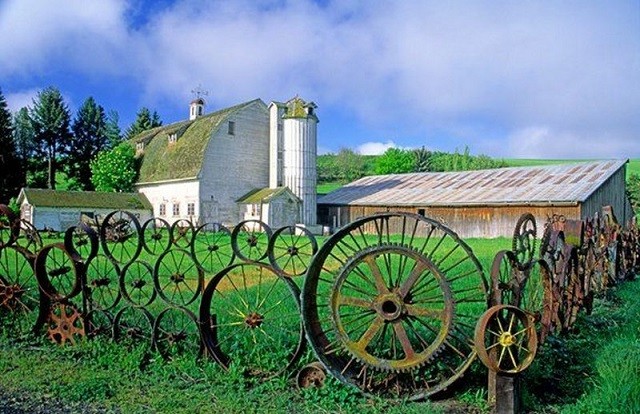 5. And what about this fence? It certainly does not go unnoticed!