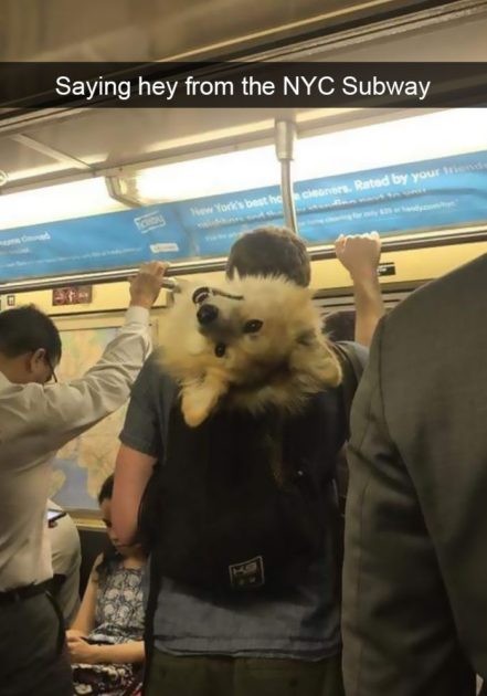 Bonjour depuis le métro de New York !