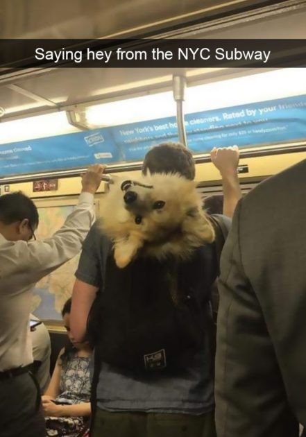 Buongiorno dalla metro di New York City!