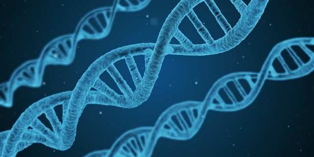 3. L'ADN parfait inaugurera l'âge d'or de l'humanité.