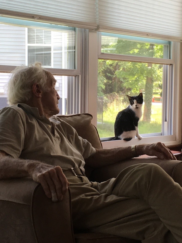 1. "Mijn oma heeft op haar 90e haar eerste kat geadopteerd. Ze heeft hem 'kat' genoemd en is er zo blij mee".