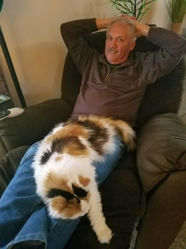 11. Lorsque le chat s'endort sur ses jambes, mon grand-père est capable de rester immobile pendant des heures.