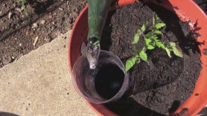 Para realizarlos no deberian hacer otra cosa que usar botellas de plastica!