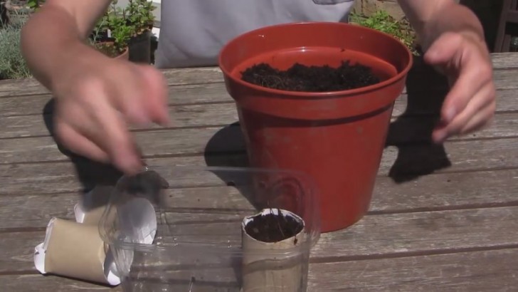 Plant de zaden erin en plaats ze in een bakje dat ze recht houdt en zet alles dan pas in de grond over wanneer de plantjes al zijn verschenen.