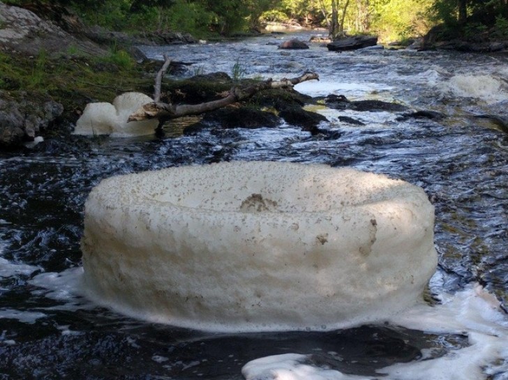 Schaut mal, wie der Strom den Schaum in diesem Fluss gesammelt hat!