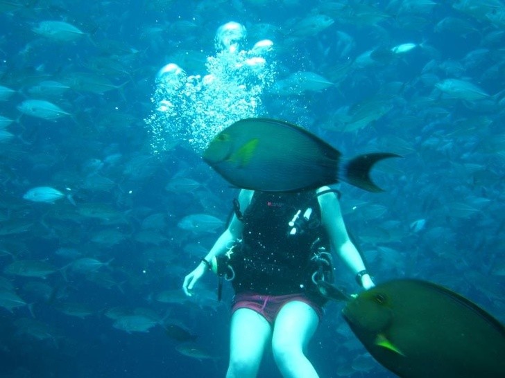 9. Wanneer je anderen probeert te overtuigen te gaan duiken, maar een ondeugende vis de foto verpest.