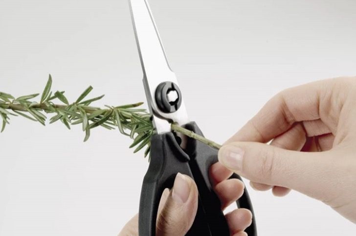 11. Ciseaux de cuisine également utiles pour séparer les feuilles des branches.
