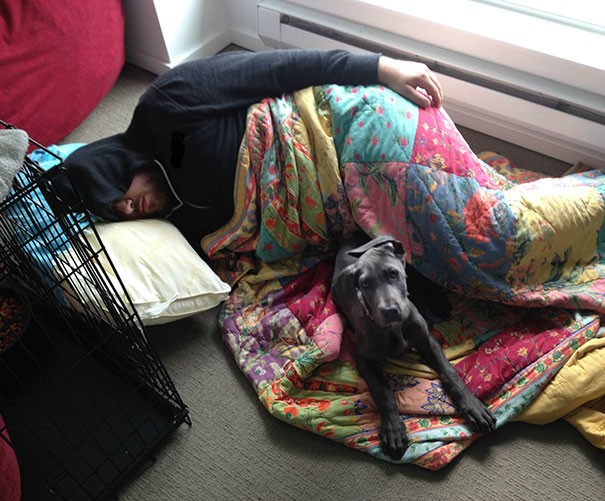 9. His wife has forbidden their dog to sleep under the blankets but she never said anything about the opposite.