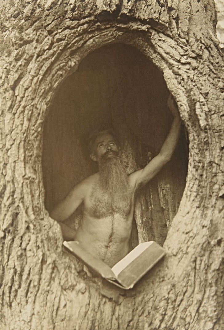 13. Un homme lit un livre dans un arbre creux, Australie, 1930.