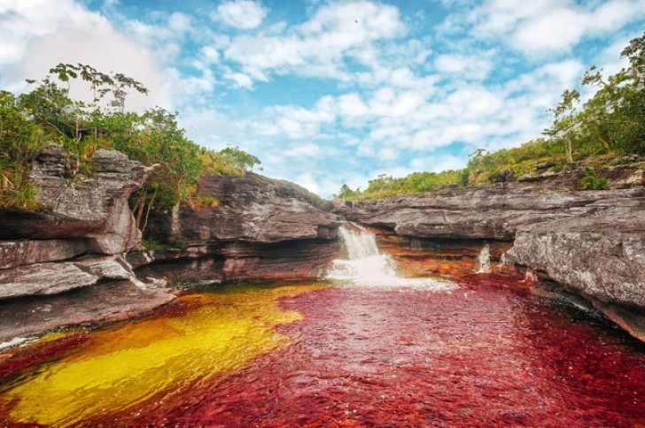 1. Le fleuve Caño Cristales en Colombie : son eau peut apparaître dans cinq couleurs différentes : rouge, bleu, jaune, jaune, vert et noir.
