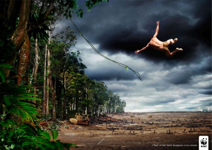 Chaque minute, 15 kilomètres carrés de forêt tropicale disparaissent.