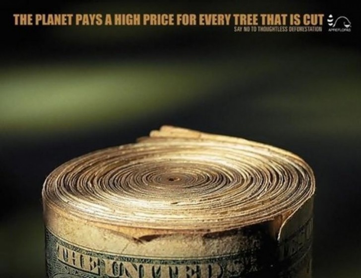 Pour chaque arbre coupé, la Planète paie un prix élevé.