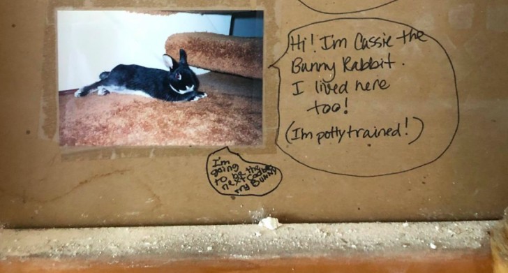 På bild nummer två fanns ett meddelande från deras kanin!